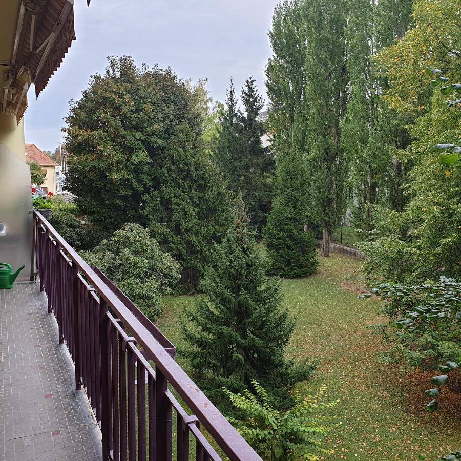 Cote Parc Apartman Schiltigheim Kültér fotó