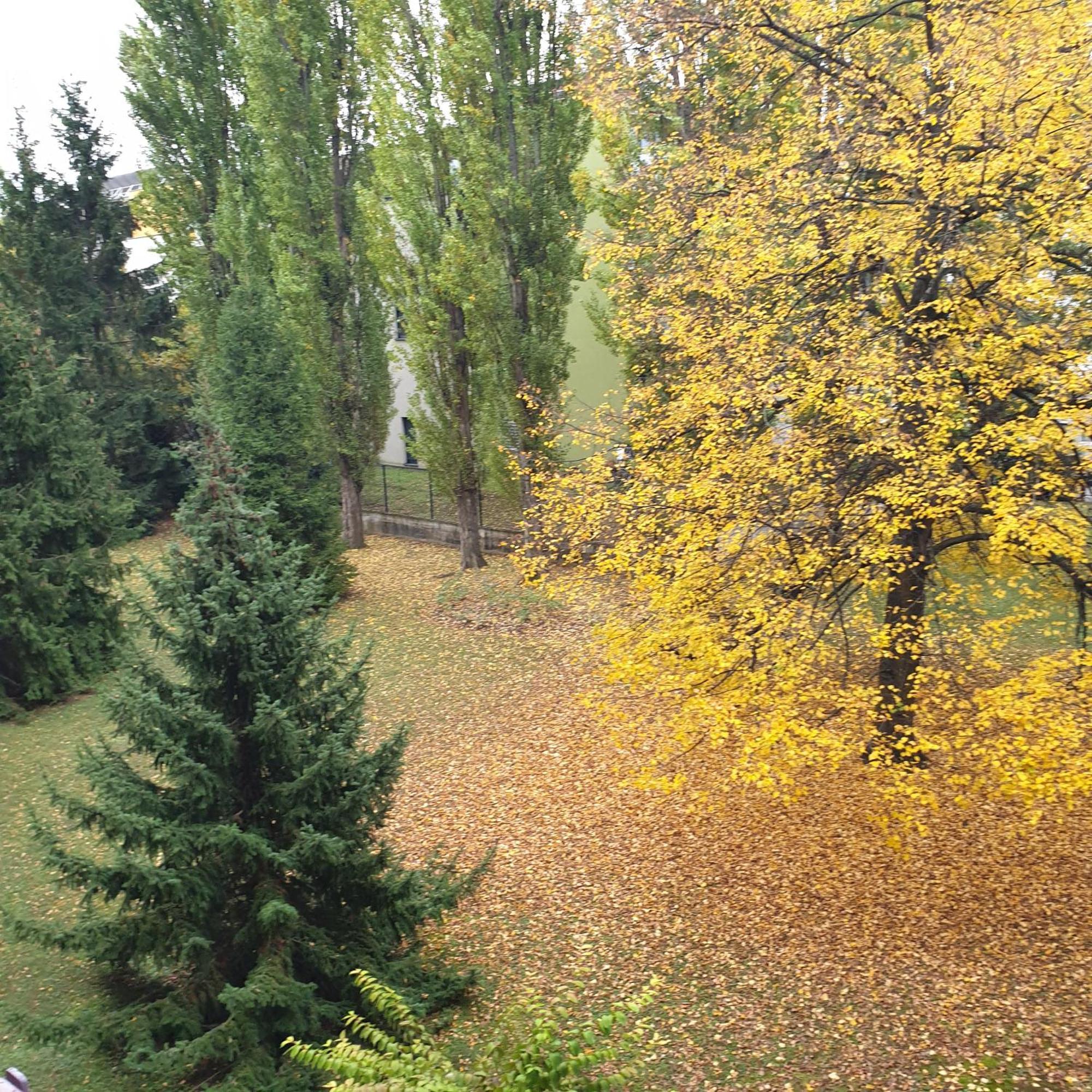 Cote Parc Apartman Schiltigheim Kültér fotó